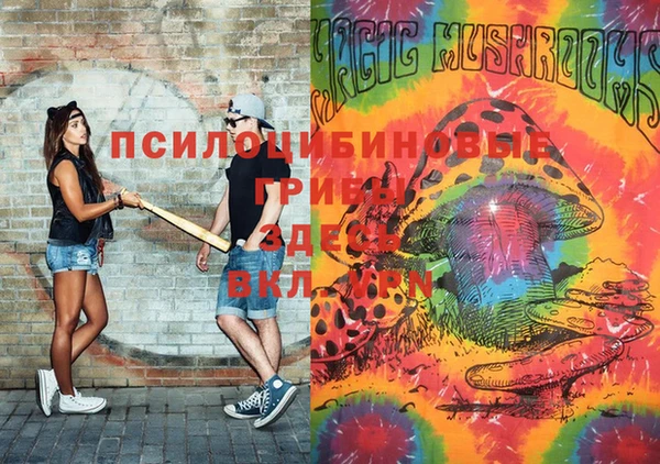 гидра Алзамай
