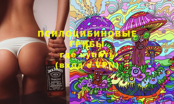 стаф Алексин