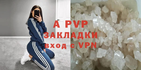 стаф Алексин