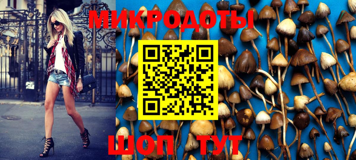 Псилоцибиновые грибы GOLDEN TEACHER Краснокамск